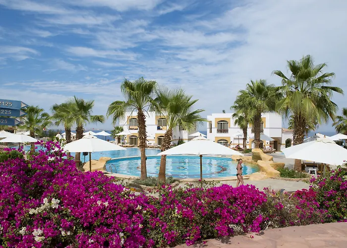 Amphoras Blu Ultra (Adults Only) Sharm el Sheikh