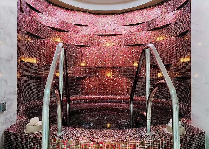 Hotel The St. Regis Abu Zabi