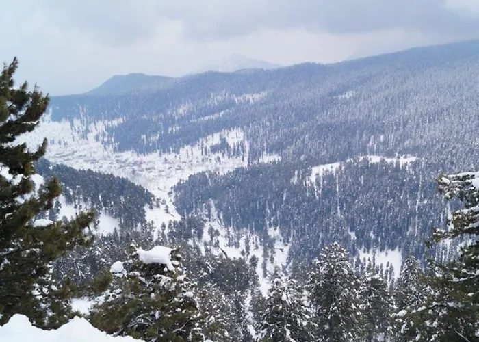 Pride Resort Gulmarg