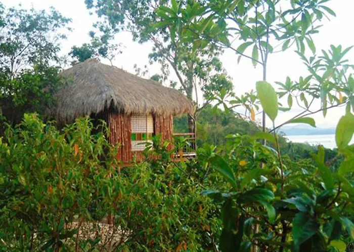 Sanctuaria Treehouses Coron