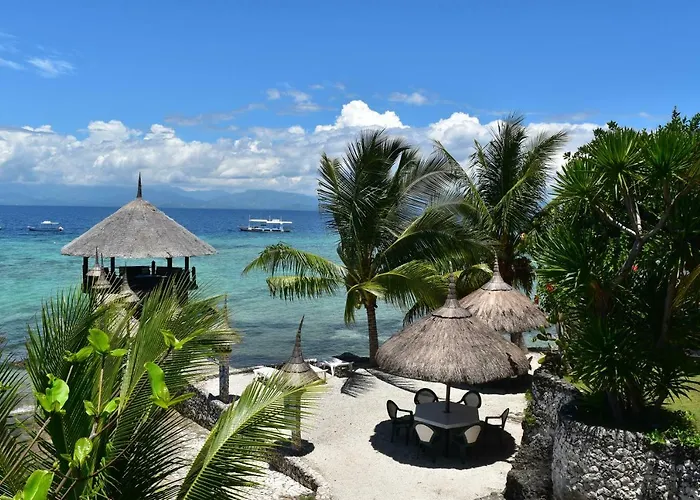 Dolphin House Resort Moalboal