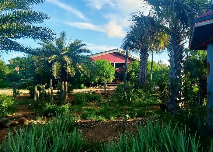 Red Palm Village Kralendijk
