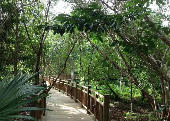 Mayan Palace Vidanta Resort Riviera Maya Puerto Morelos