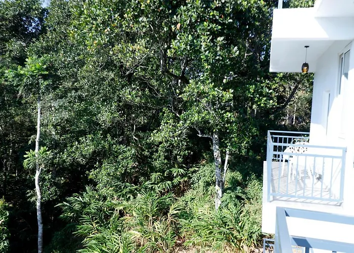 Casillda Munnar Hotel